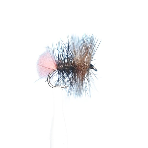 FLY FISHING AUSTRALIA BILL BECK FLY PATTERN BEST NEW ZEALAND TASMANIA GUIDES RED TAG