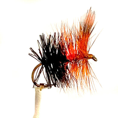 Fly Fishing Dry Fly Best Pattern Australia New Zealand Tasmania Great Lake Beetle