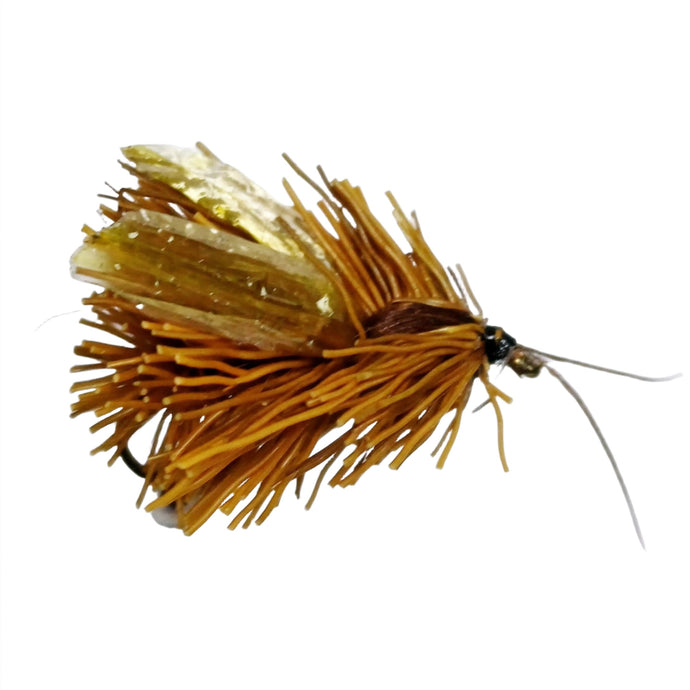 GV22 OLIVE HAIRY CADDIS Australia NZ