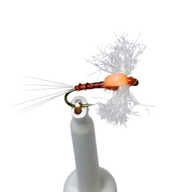 RB0020 CADDIS HEMINGWAY SPECIAL Australia NZ