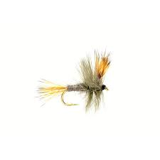 3220 WULFF GREY