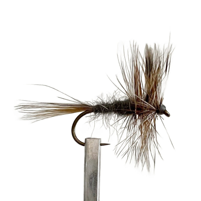 Fly Fishing Dry Fly Best Australia Adams New Zealand Tasmania