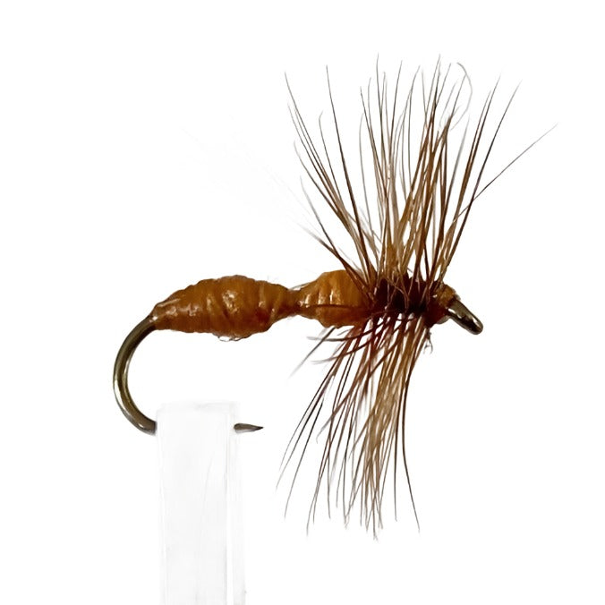 Fly Fishing Dry Fly Best Australia Tasmania New Zealand Ant Red