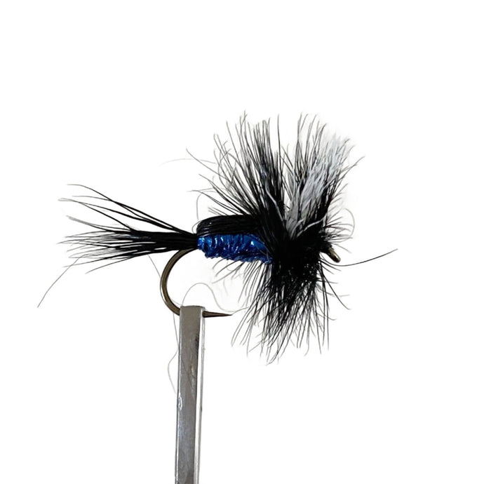 Fly Fishing Dry Fly Best Australia Tasmania New Zealand Blow Fly