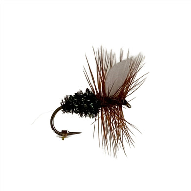 Fly Fishing Dry Fly Best Pattern Australia New Zealand Tasmania Coachman