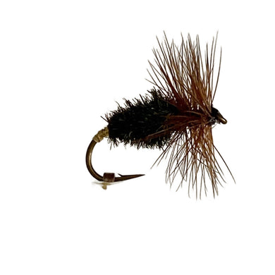 Fly Fishing Beetle Cocky Bond Hu Beetle Australia Tasmania New Zealand Dry Fly Best