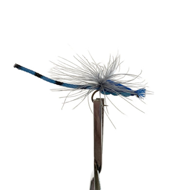 Fly Fishing Dry Fly Best Australia New Zealand Tasmania Damsel Blue