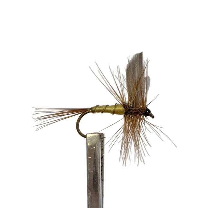 Fly Fishing Dry Fly Best Australia New Zealand Tasmania Greenwell's Glory