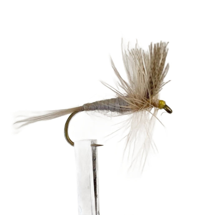 Fly Fishing Dry Fly Australia New Zealand Best Fly Pattern Light Carhill