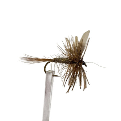 Fly Fishing Dry Fly Best Australia New Zealand Tasmania March Brown