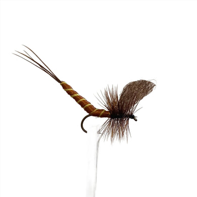 Fly Fishing Dry Fly Best Australia New Zealand Tasmania Brown Mayfly