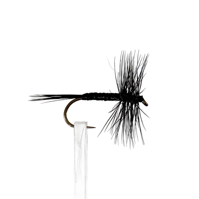 Fly Fishing Dry Fly Best Australia Tasmania New Zealand Black Midge