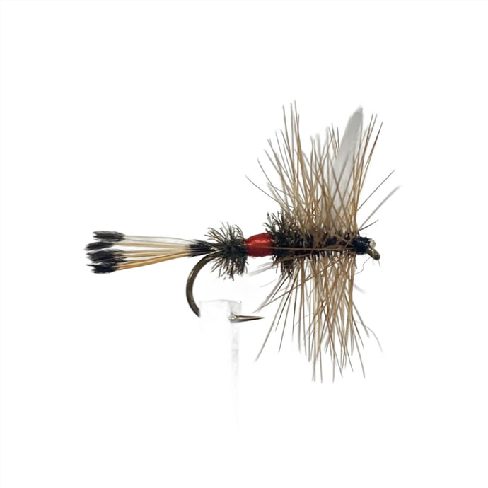 Fly Fishing Dry Fly Best Australia Royal Coachman New Zealand Tasmania