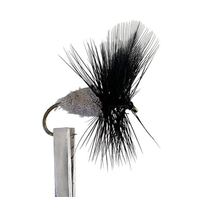 Fly Fishing Dry Fly Australia New Zealand Best Fly Pattern Snowburner Beetle