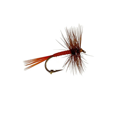 Fly Fishing Dry Fly Best Australia Orange Spinner Tasmania New Zealand