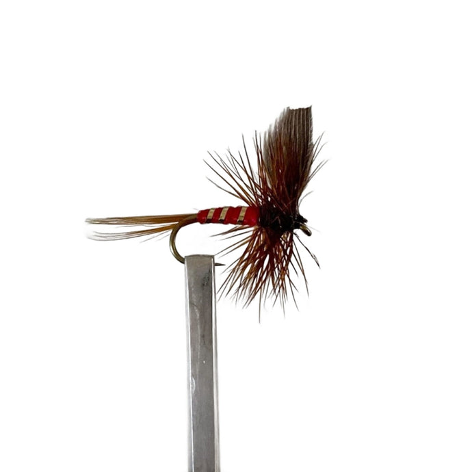 Fly Fishing Dry Fly Best Australia Red Spinner New Zealand Tasmania