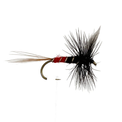 Fly Fishing Dry Fly Australia New Zealand Best Fly Pattern Watsons Fancy