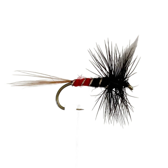 Fly Fishing Dry Fly Australia New Zealand Best Fly Pattern Watsons Fancy