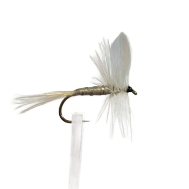 Fly Fishing Dry Fly Best Australia New Zealand Tasmania White Moth