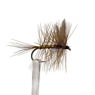 Fly Fishing Dry Fly Best Australia New Zealand Tasmania Wickham's Fancy