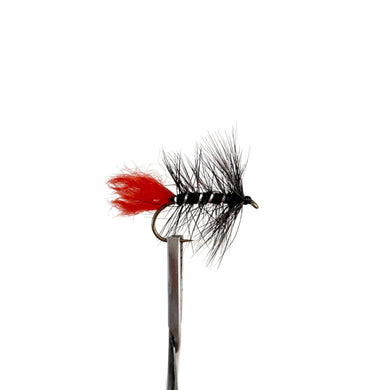 Fly Fishing Dry Fly Australia New Zealand Best Fly Pattern Zulu