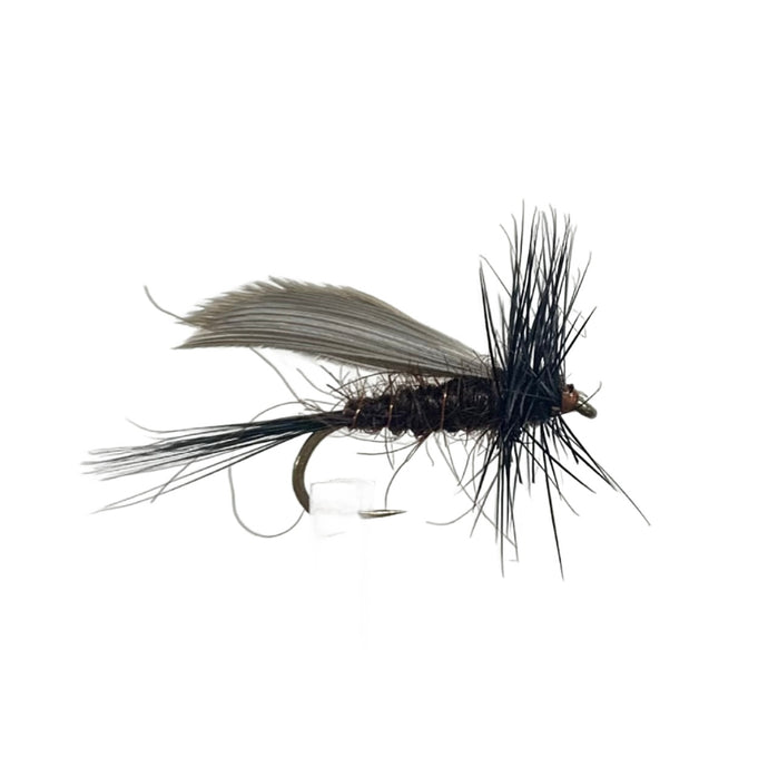 Fly Fishing Dry Fly Best Australia Emerger Tassie Emerger Tasmania Australia New Zealand