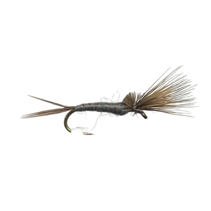 Fly Fishing Dry Fly Best Australia Shaving Brush Traditional Lake Tasmania New Zealand