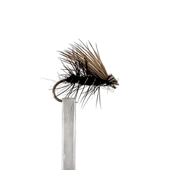 Fly Fishing Dry Fly Best Australia Tasmania New Zealand Elk Hair Caddis Black