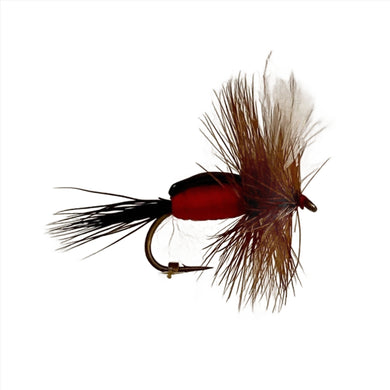 Fly Fishing Dry Fly Best Pattern Australia New Zealand Tasmania Humpy Royal