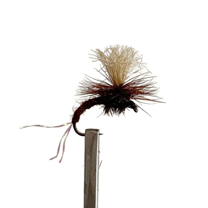 Fly Fishing Dry Fly Best Australia Sharpies Klinkhammer Rust Tasmania New Zealand