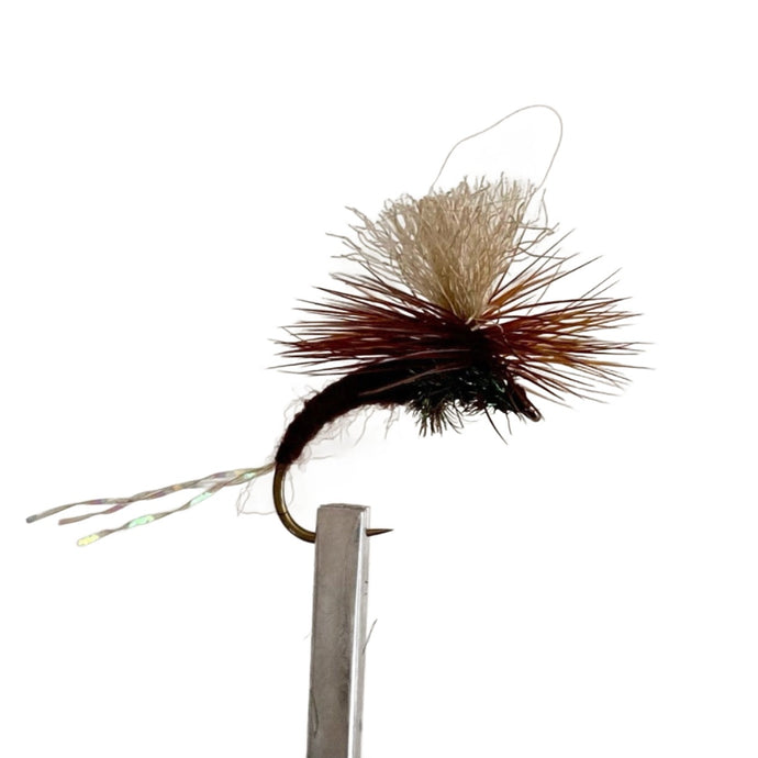 Fly Fishing Dry Fly Best Australia Sharpies Klinkhammer Chocolate Brown Tasmania New Zealand