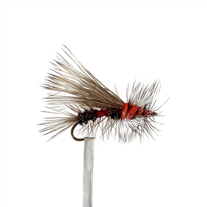 Fly Fishing Dry Fly Best Australia Royal Stimulator New Zealand Tasmania