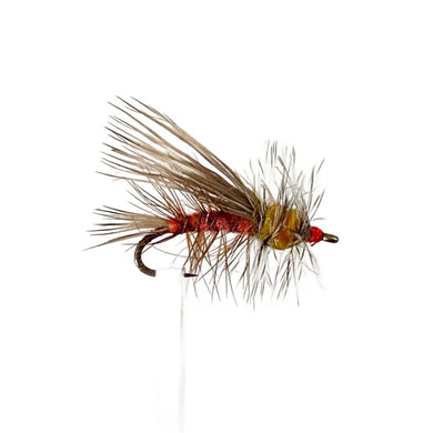 Fly Fishing Dry Fly Best Australia Stimulator Orange New Zealand Tasmania