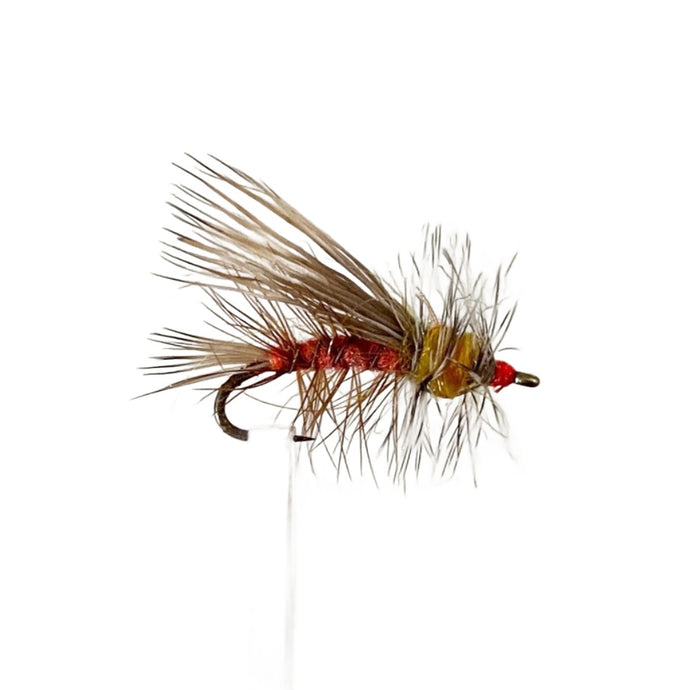 Fly Fishing Dry Fly Best Australia Stimulator Orange New Zealand Tasmania