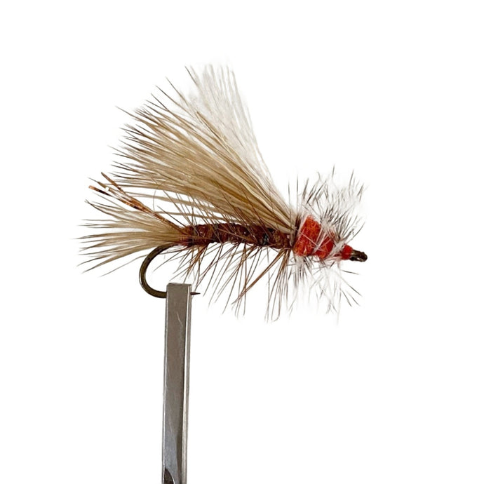 Fly Fishing Dry Fly Best Australia Tasmania New Zealand Stimulator Tan