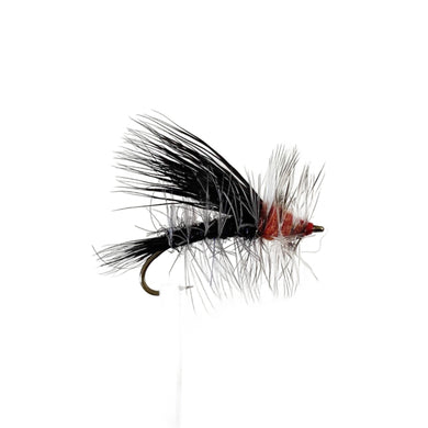 Fly Fishing Dry Fly Best Australia Black Stimulator Tasmania New Zealand