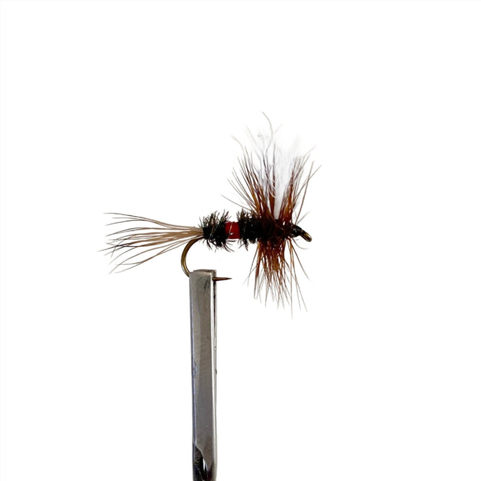 Fly Fishing Dry FLy Best Pattern Australia New Zealand Royal Wulff NZ 