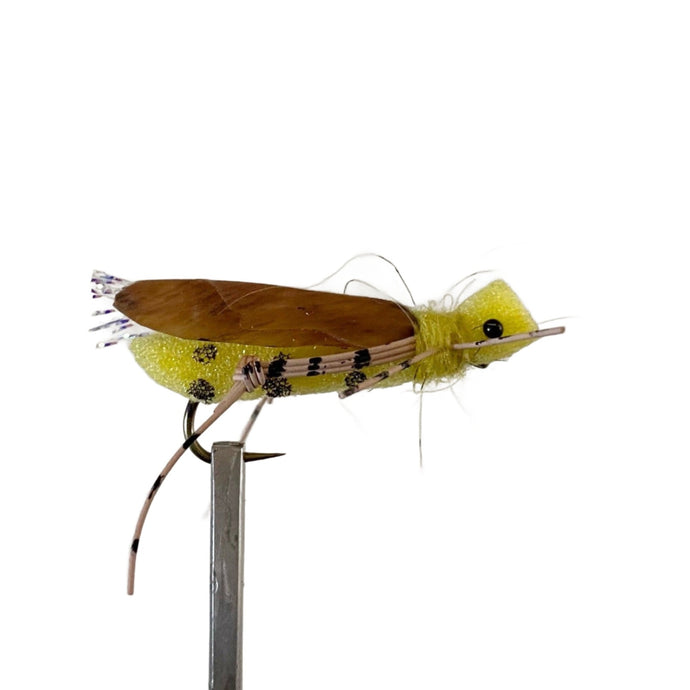 Fly Fishing Dry Fly Best Australia Tasmania New Zealand Yellow Foam Hopper