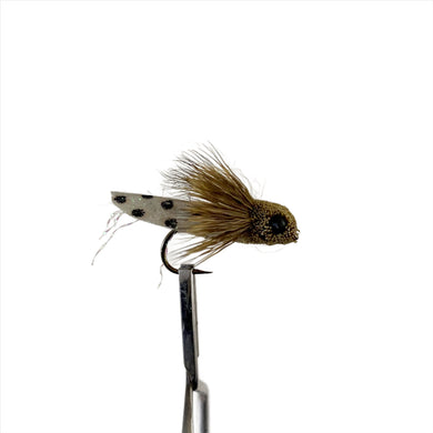 Fly Fishing Dry Fly Best Australia Tasmania New Zealand NZ Cicada Olive