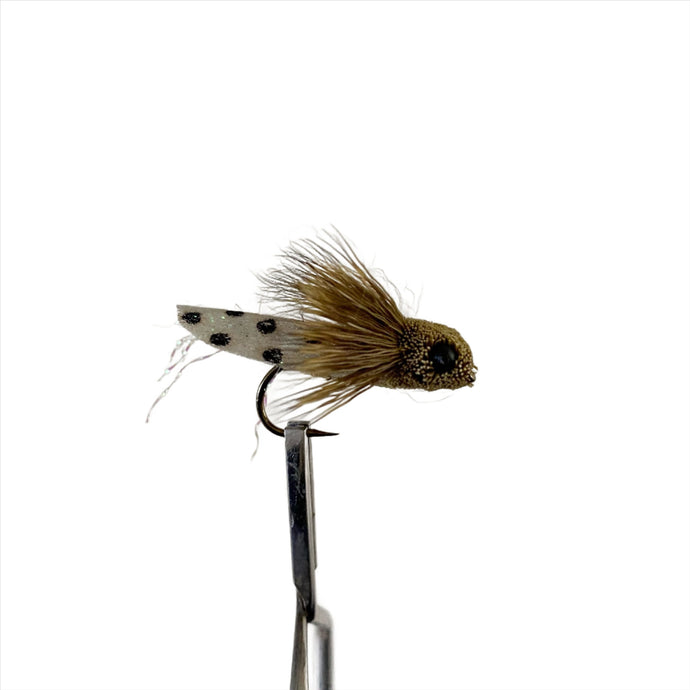 Fly Fishing Dry Fly Best Australia Tasmania New Zealand NZ Cicada Olive