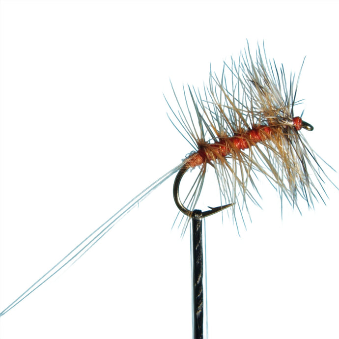 Fly Fishing Dry FLy Best AUstralia Macquarie Red Spinner Tasmania New Zealand