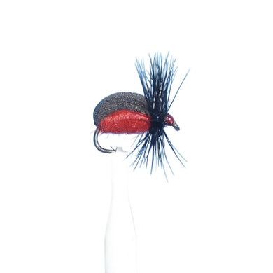 FLY FISHING AUSTRALIA BILL BECK FLY PATTERN BEST NEW ZEALAND TASMANIA JASSID BEETLE