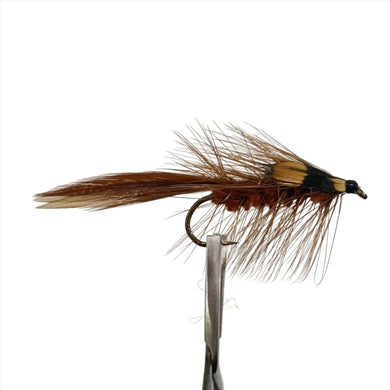 Fly Fishing Dry Fly Best Australia New Zealand Tasmania Bushys Horror