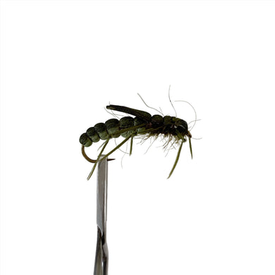 Fly Fishing Dry Fly Best Australia Tasmania New Zealand Olive Foam Mudeye