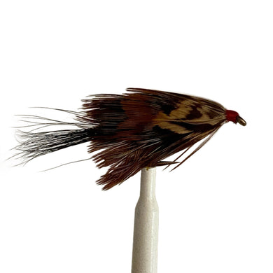 Fly Fishing Mrs Simpson Brown Red Wet Fly Best Pattern Australia New Zealand Tasmania Lake