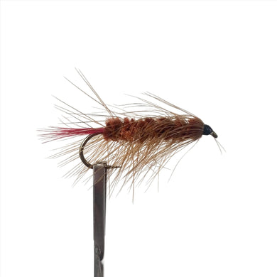 Fly Fishing Dry Fly Best Australia New Zealand Tasmania Woolly Worm Brown