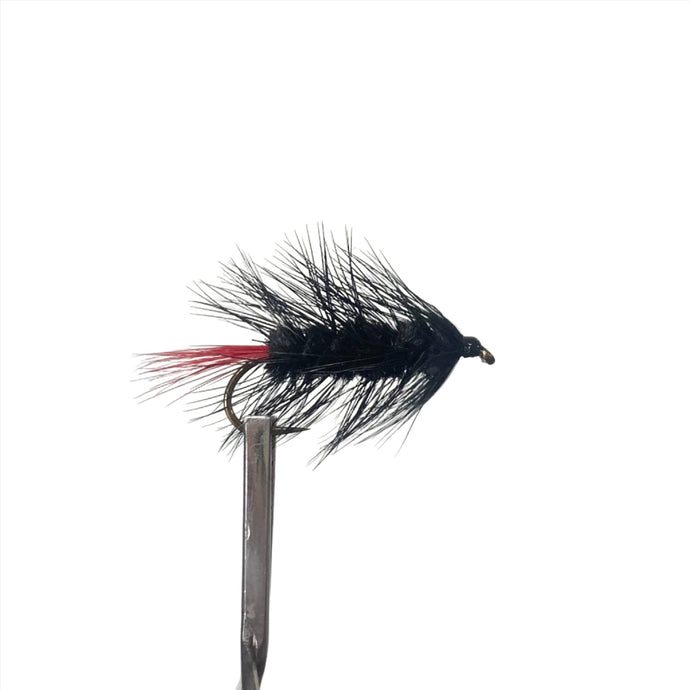 Fly Fishing Dry Fly Best Australia New Zealand Tasmania Woolly Worm Black