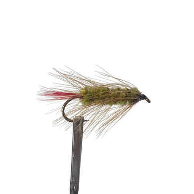 Fly Fishing Dry Fly Best Australia New Zealand Tasmania Woolly Worm Green