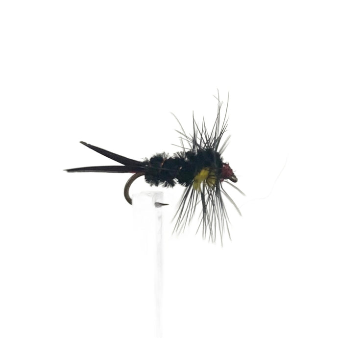 Fly Fishing Dry Fly Best Australia New Zealand Tasmania Nymph Unweighted montana nymph