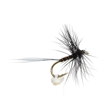 Fly Fishing Dry Fly Best Australia Tasmania New Zealand Black Spinner